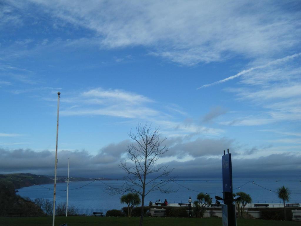 Babbacombe Royal Hotel And Carvery Торки Экстерьер фото